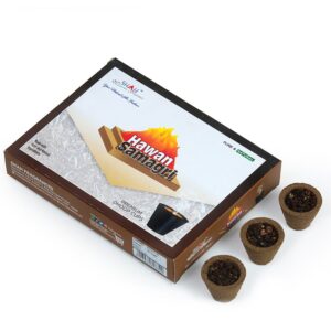 Hawan Samagri Cup Dhoop - Image 2