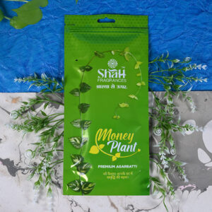 Money Plant Zipper Agarbatti 110 Grams