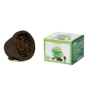 Gugal Jumbo Sambrani Cup Dhoop - Image 3